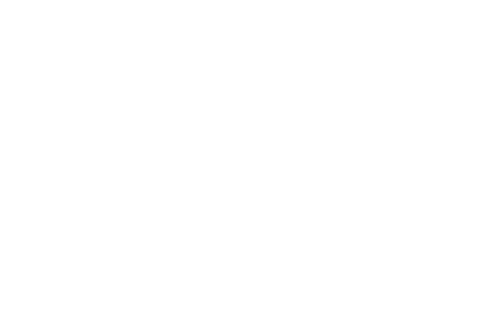 REDENET